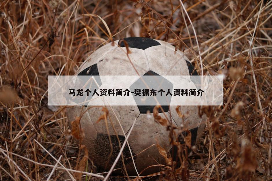 马龙个人资料简介-樊振东个人资料简介