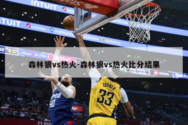 森林狼vs热火-森林狼vs热火比分结果